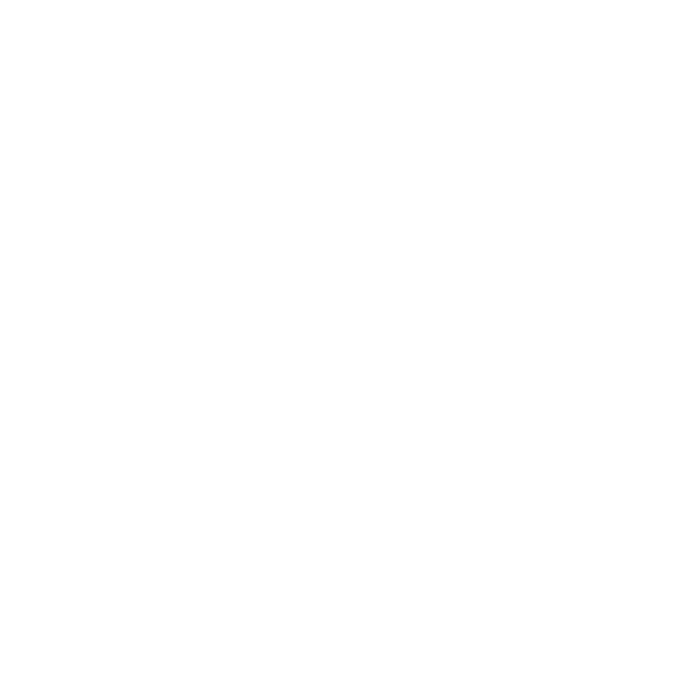 Fast Lane Drive